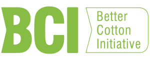 bci-01