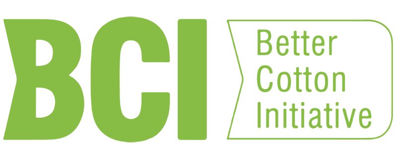 bci-01-1
